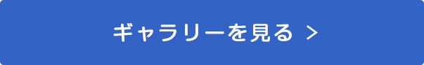 ギャラリーを見る